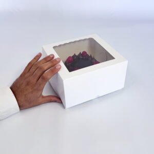 Box con visor cuadrada